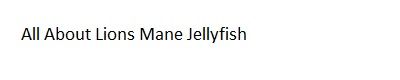All About Lion's Mane Jellyfish