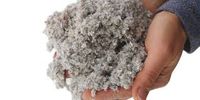 A person holding a bunch of dust