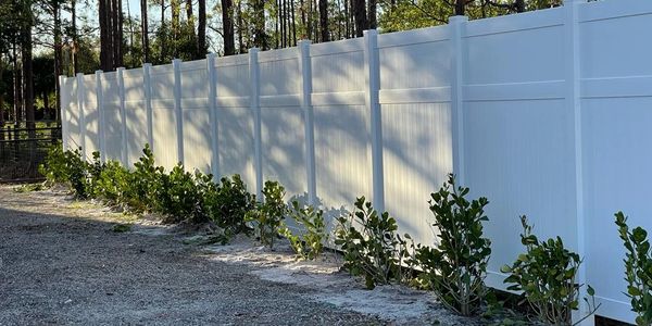 White vinyl privacy fence with young shrubs planted along its base.