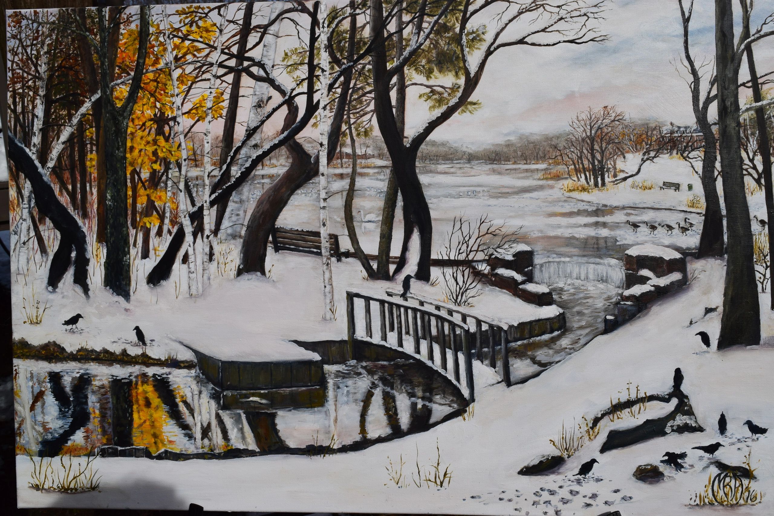 Knapp Lake in Winter 