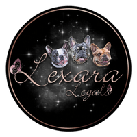 Lexara French bulldogs