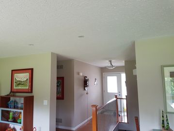 Stucco ceiling removal