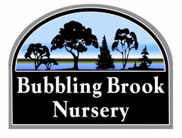 Bubbling Brook Nursery