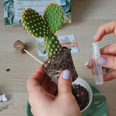 Terrarium supplies UK