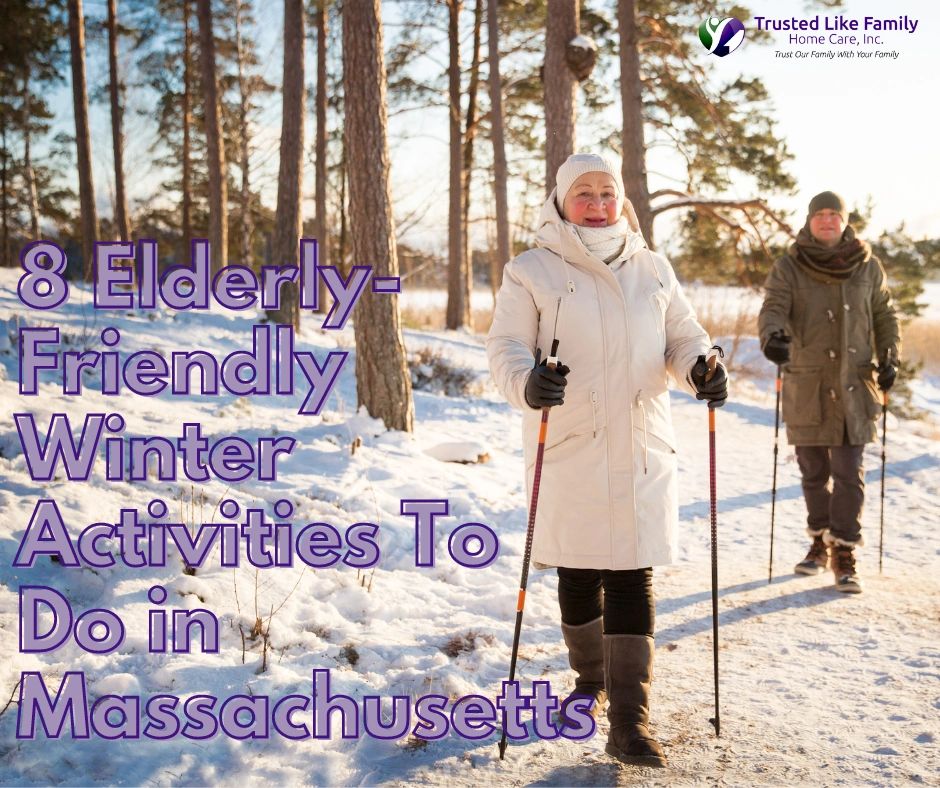 8 Elderly-Friendly Winter Activities To Do in Massachusetts
