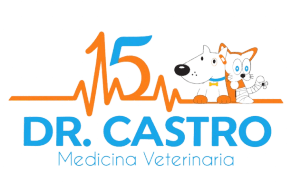 DR CASTRO MEDICINA VETERINARIA