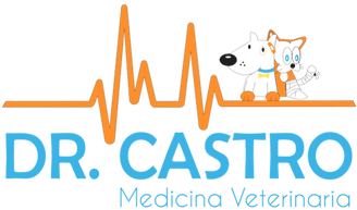 DR CASTRO MEDICINA VETERINARIA