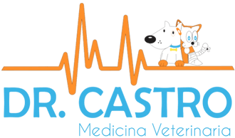 DR CASTRO MEDICINA VETERINARIA