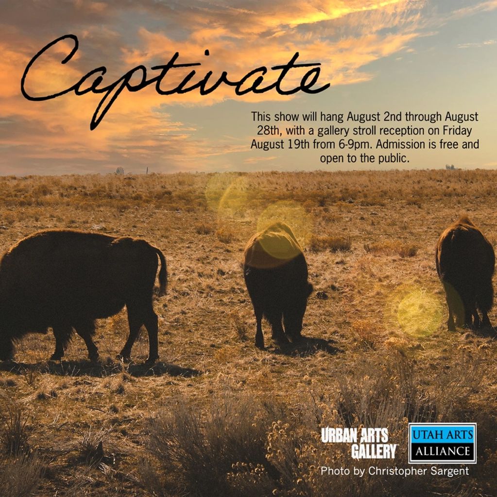 Bison grazing at sunset with Captivate art show details.
