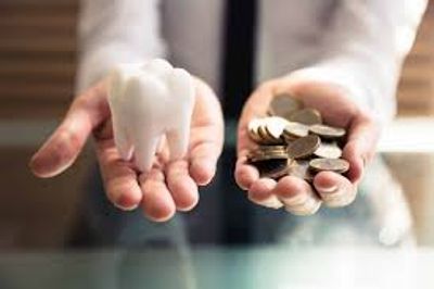 Hands holding a tooth model and coins.