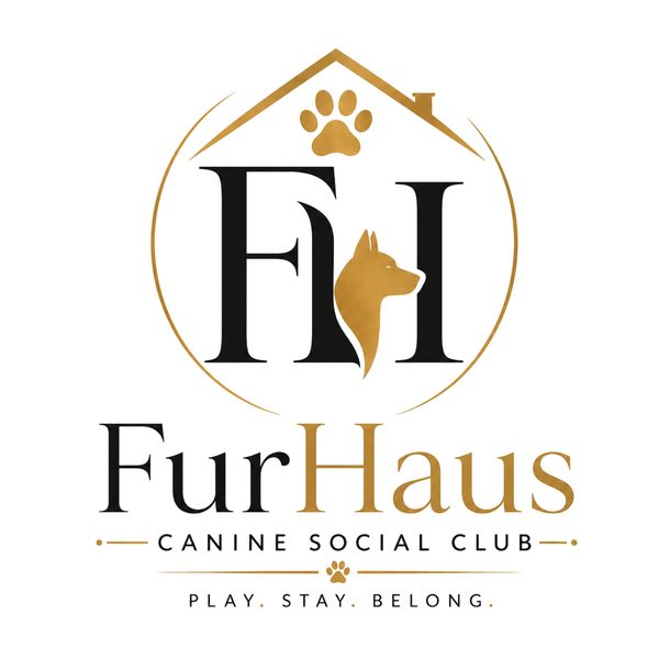 Logo for FurHaus Canine Social Club featuring a dog silhouette and paw print.