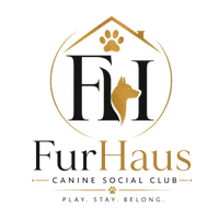 FurHaus
