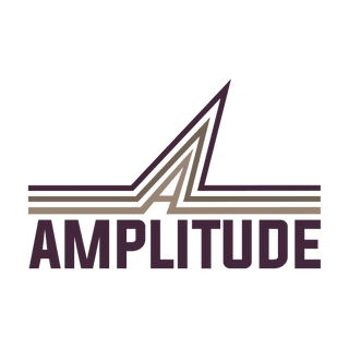 Amplitude Services