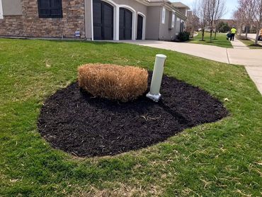 Mulch 