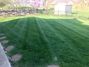 Lawn Stripes