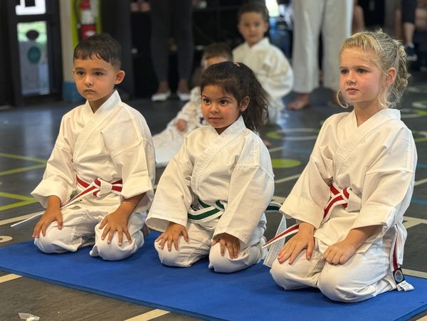 Welcome to Cape Coral Karate 3818 Skyline Blvd, Cape Coral FL 33914
The future is Bright here at Cap