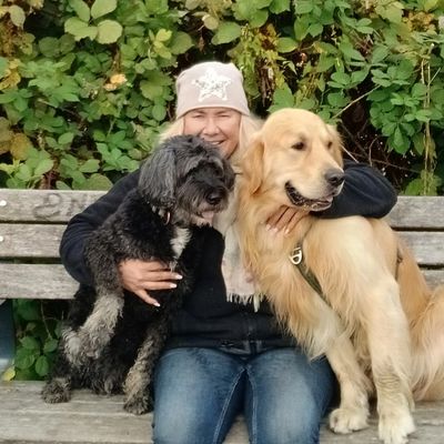 Professionelle Hundebetreuung Hamburg - fürsorglich und naturverbunden im Dog-Sitter-Service Hamburg