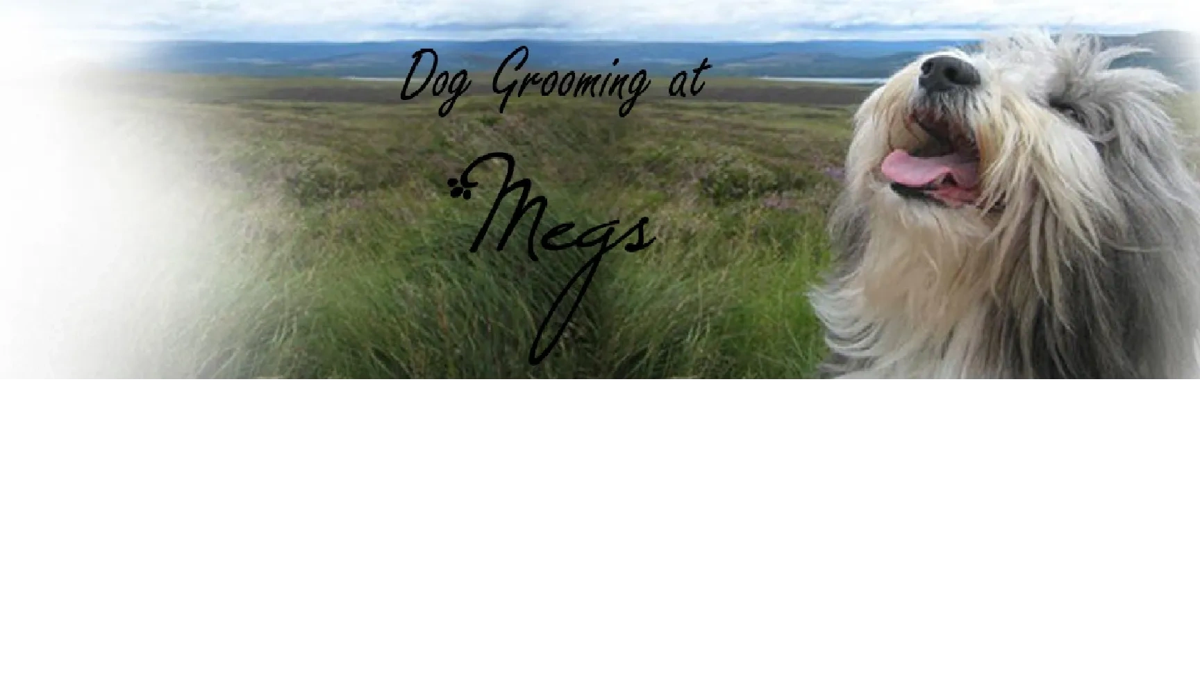 dog-grooming-at-megs