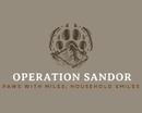 Operation Sandor