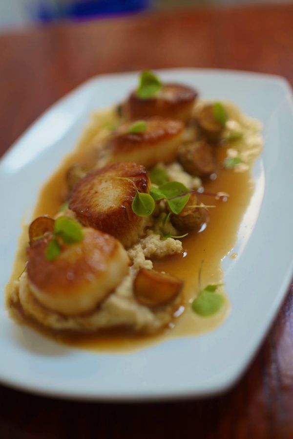 Seared Scallops 