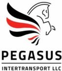 Pegasus Intertransport LLC