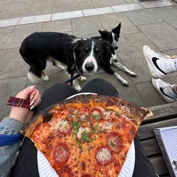 Person holding a slice of pepperoni pizza with two dogs looking up eagerly.