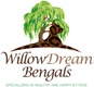  WILLOW DREAM BENGALS