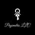 Payemdris LLC