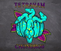 Tetrahachondros