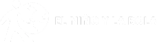 El Niño y la Bola