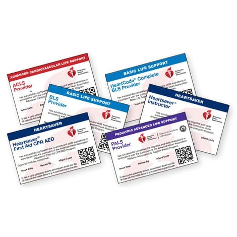 AHA BLS/CPR Certification
