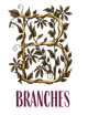 Branches
