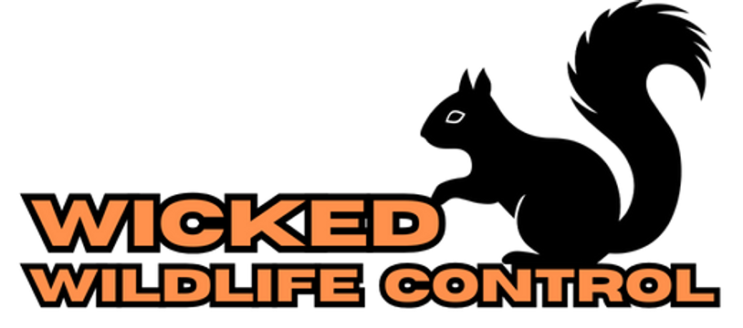 Wicked Wildlife Control's business logo.