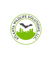 Rodent Removal Cumming