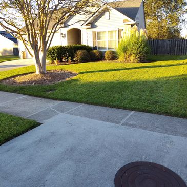 hanahan lawn shawnlawn classic cut