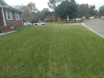 A Classic Cut lawn in North Charleston ShawnLawn by SHAYS, LLC