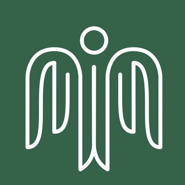 ICARENP Trademark logo