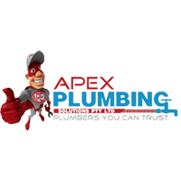 Apex Plumbing Services