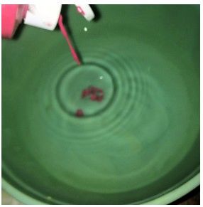 Bowls of pink, yellow, and green dye water for coffee filters