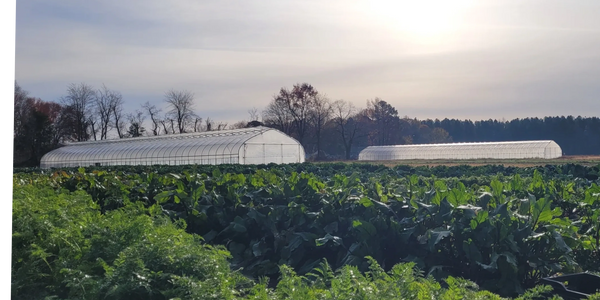 Stephens high tunnels make it possible to provide the community with fresh, local produce year round