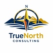 TrueNorth Consulting LLC