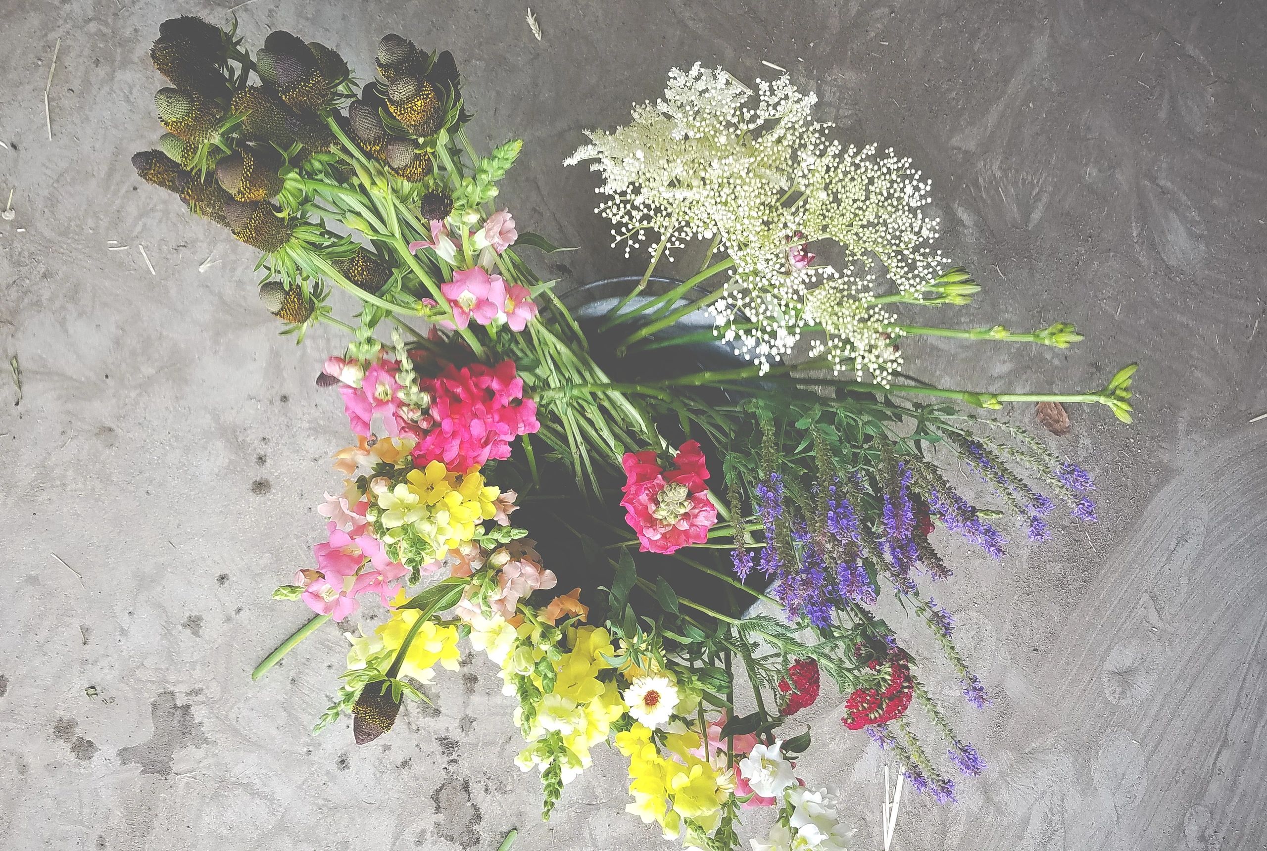 View of Heaven Flower Farm