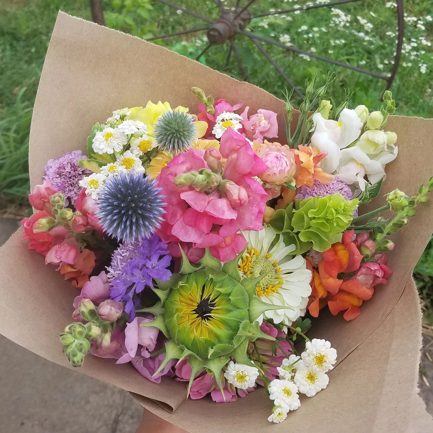 View of Heaven Flower Farm