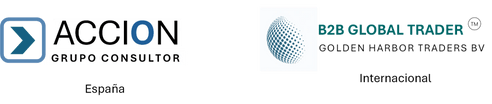 Acción Grupo Consultor