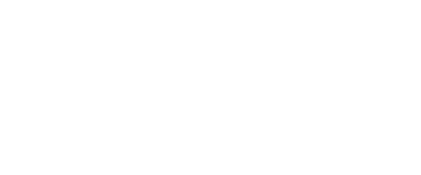 Black Robin Group