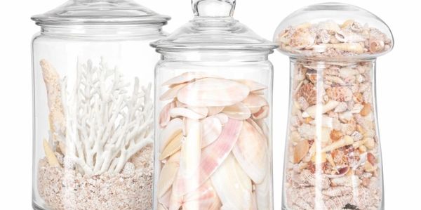 Three glass jars filled with assorted seashells and coral pieces.