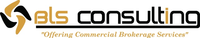 BLS Consulting