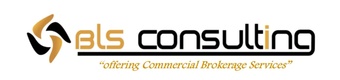 BLS Consulting