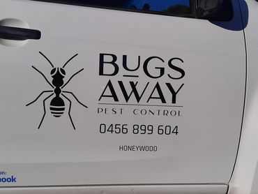 Vehicle signage for pest control business. Black vinyl cut lettering.