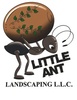 Little Ant Landscaping LLC